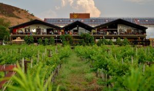 Mumbai to Sula Vineyards Nashik Cab Service