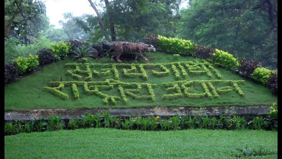 Sanjay Gandhi National Park